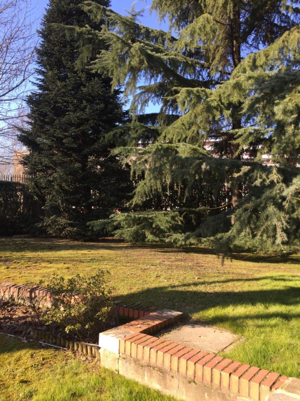 King Room Garden View