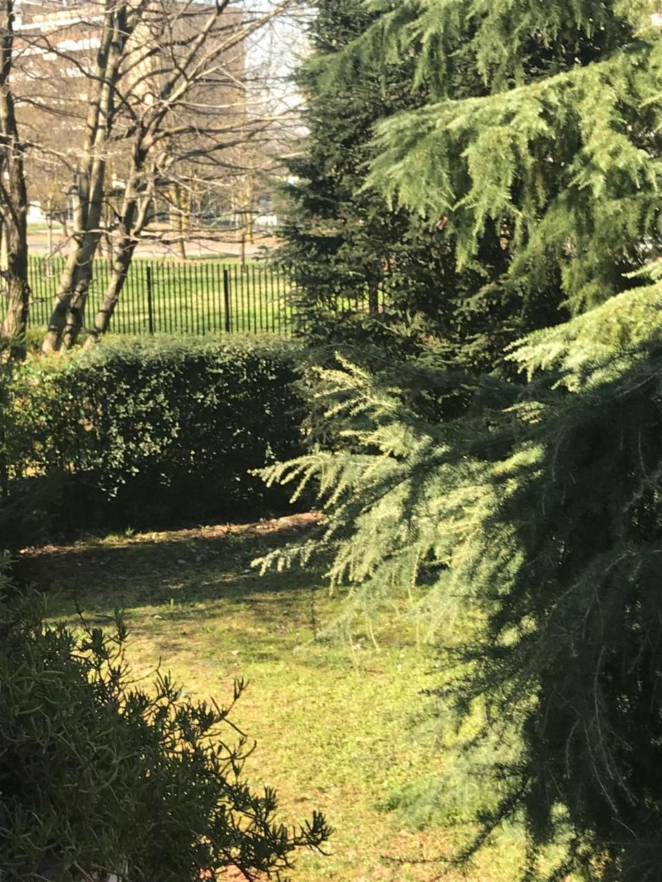 King Room Garden View